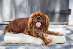 Huggle Hounds HuggleFleece Mat Medium 1 St. 61x93 Cm -Huisdierproducten image 1224