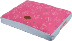 Lief! Girls Lief! Girls Loungekussen 2-zijdig, 65x50 Cm.