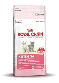 Royal Canin Kitten 36 Kat 5-12 Mnd. 2 Kg. -Huisdierproducten image 2304