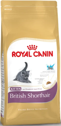 Royal Canin British Shorthair Kitten 2 Kg. -Huisdierproducten image 2334