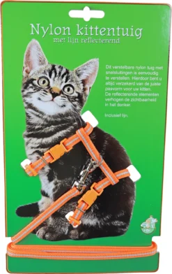 Boon Kittentuig Nylon Met Lijn Neon, Oranje Reflecterend. -Huisdierproducten image 2465