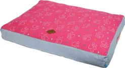 Lief! Girls Lief! Girls Loungekussen 2-zijdig, 100x70 Cm.