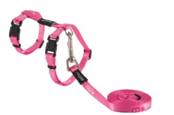 Rogz Beltz Catz KiddyCat Tuig+Lijn S Roze Hearts 1 St. Small 11 Rogz Beltz Catz KiddyCat Tuig+Lijn S Roze Hearts 1 St. Small -Huisdierproducten image 3350