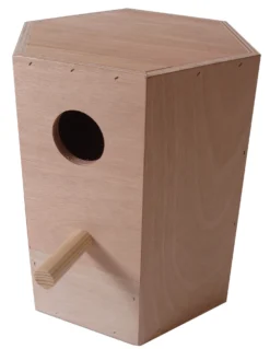 Boon Boon Valkparkietenblok, Zeskant.