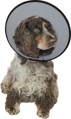 Company Of Animals Smart Collar Nr. 3. -Huisdierproducten image 391