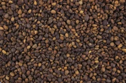 Tijssen Goed Voor Dieren Cedernoten 25 Kg. -Huisdierproducten image 4038