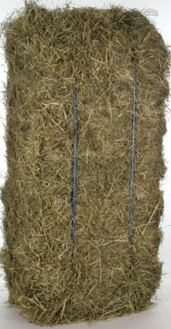 Hooi Baal 1 St. -Huisdierproducten image 4412