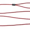 Rogz Beltz Rope LangeLijn S Rood 1 St. Small
