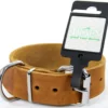Tijssen Goed Voor Dieren Halsband Vetleer Cognac 1 St. 35mm X 55cm