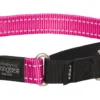 Rogz Beltz Utility Control Web Halsband L Roze 1 St. Large