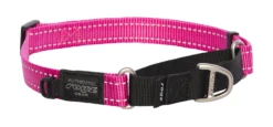 Rogz Beltz Utility Control Web Halsband L Roze 1 St. Large -Huisdierproducten image 727
