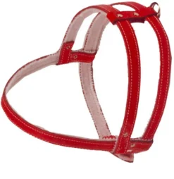 Boon Dog Fashion Boon Dog Fashion Borsttuig Gevoerd Rood, 10 Mm/40 Cm.