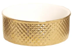 Hondeneetbak Prestige Goud/wit, Ø 18 Cm. -Huisdierproducten image 792
