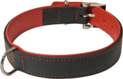 Boon Dog Fashion Boon Dog Fashion Halsband Soft Gevoerd Zwart/rood, 25 Mm/40 Cm. -Huisdierproducten image 840