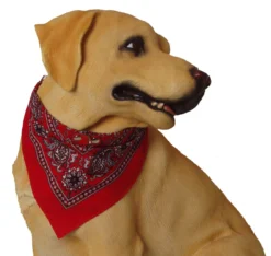 Boon Dog Fashion Boon Dog Fashion Halsband Met Zakdoek 50 Cm, Rood. -Huisdierproducten image 861